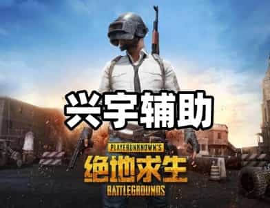 绝地求生兴宇辅助